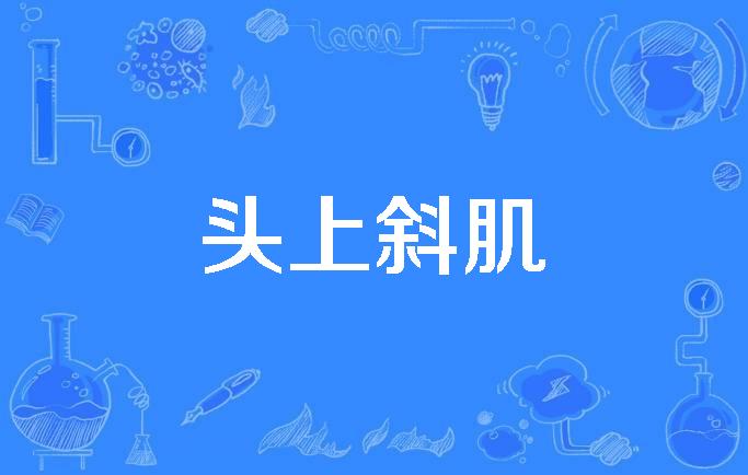拉力器练背阔肌_练背阔肌能让肩膀变宽_练背阔肌能让肩膀变宽