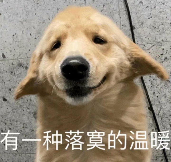 累成狗表情包_热死人表情包图片_热成狗图片 表情包