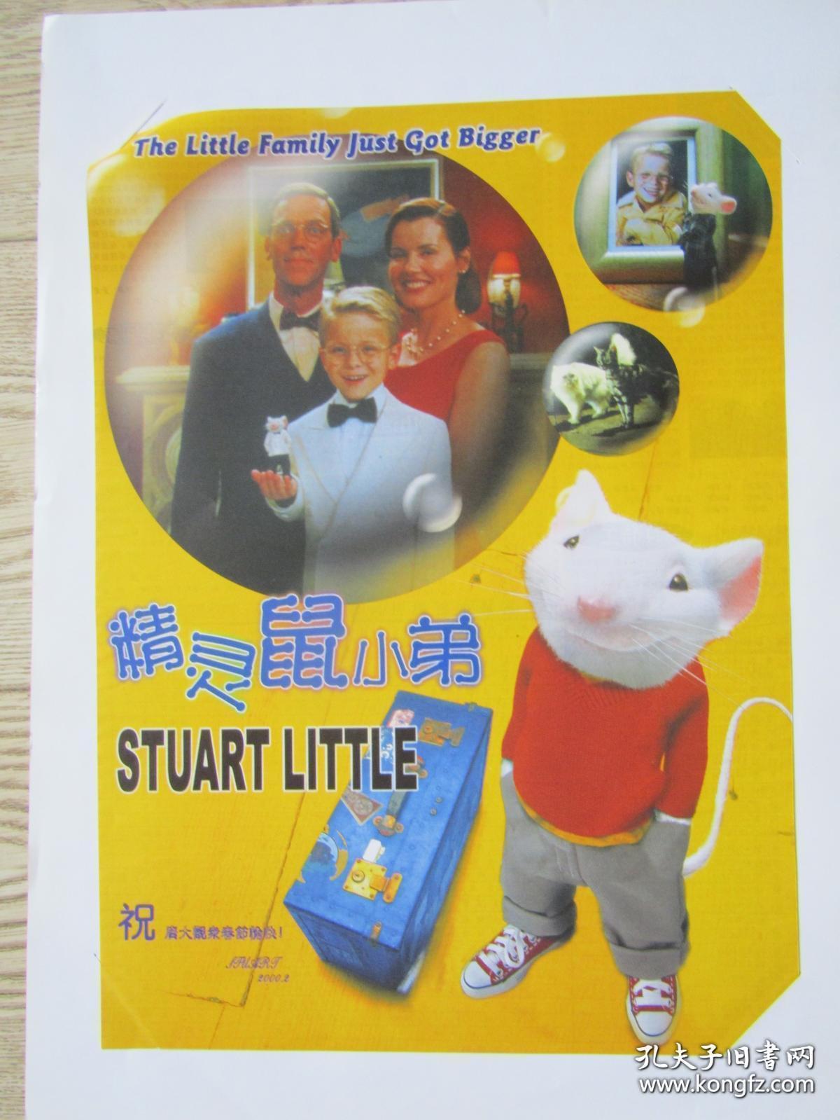 猫捉鼠游戏_鼠猫 猫先爱上鼠_大声说出来猫鼠游戏