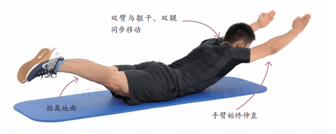 人怎锻炼人内心强大_腰背肌锻炼飞燕式_怎么锻炼出强大的腰力