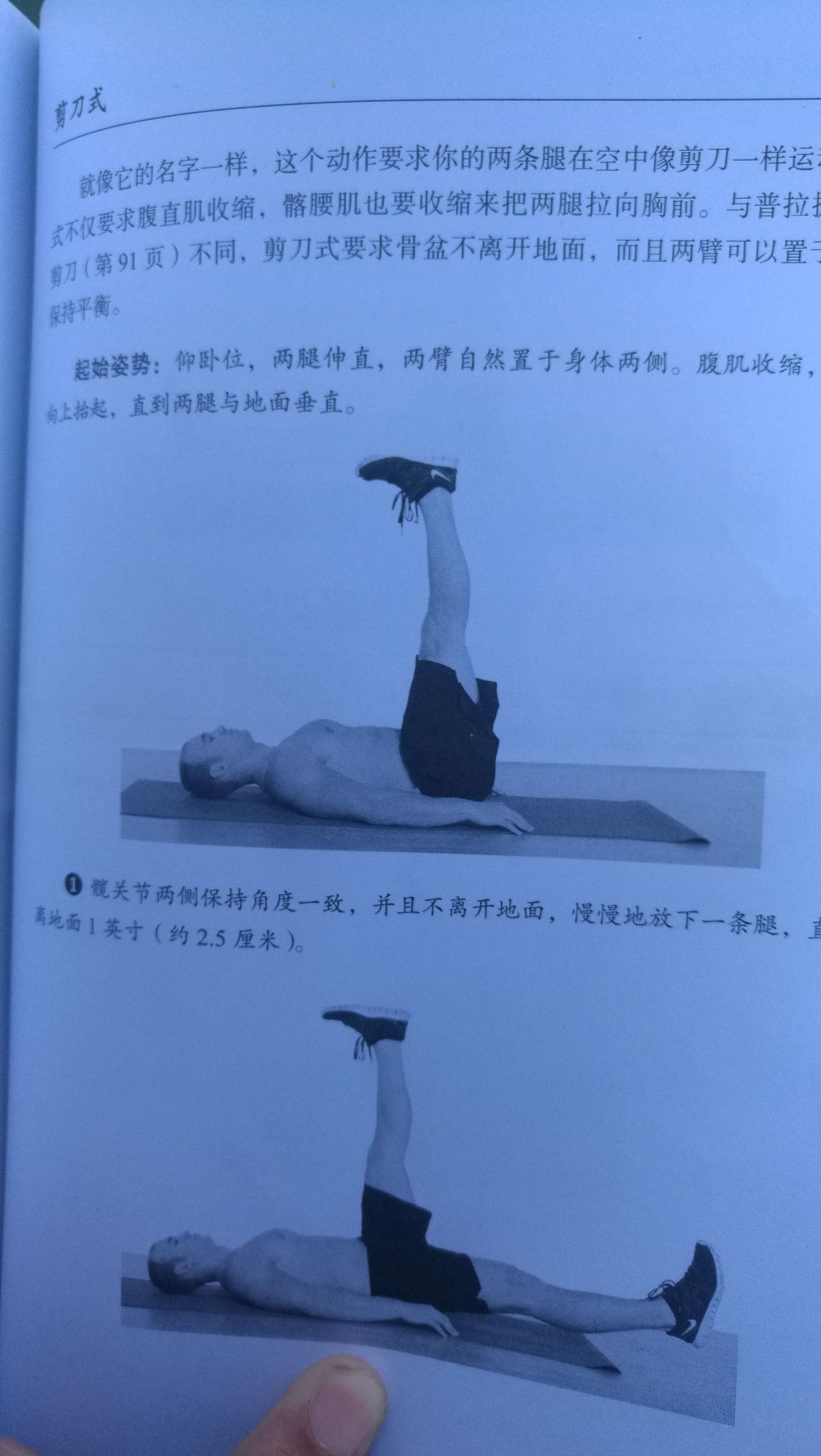 腰突腰背肌锻炼_狗公腰怎么锻炼_怎么锻炼出强大的腰力