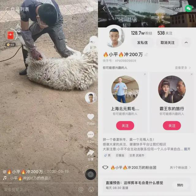 快手涨粉_快手怎么才能快速涨粉_快手怎么样快速涨真粉