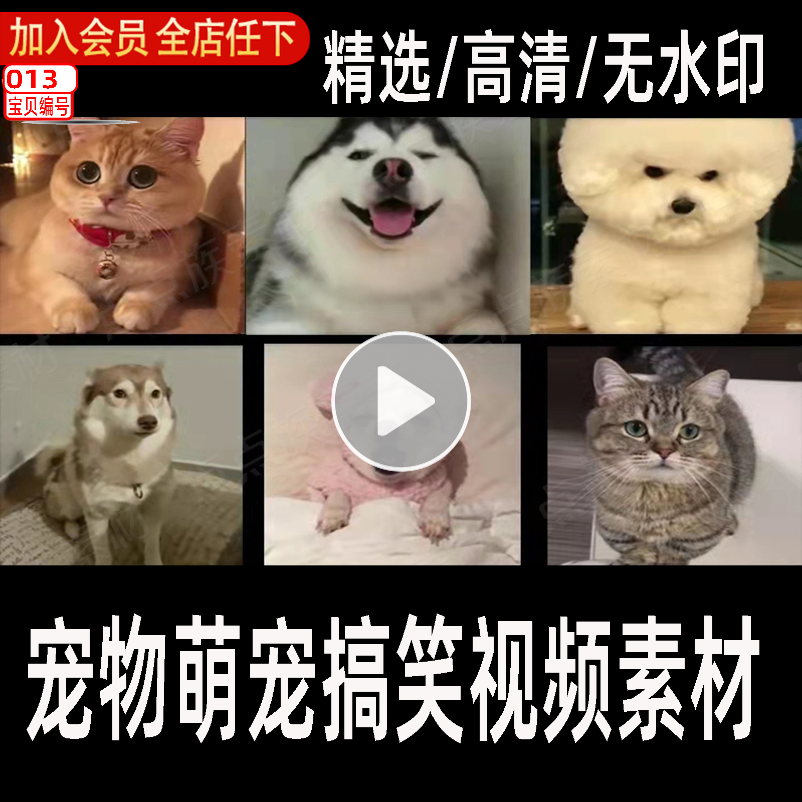 微信短视频怎么拍_淘拍淘宝短视频_短视频怎么拍才能火