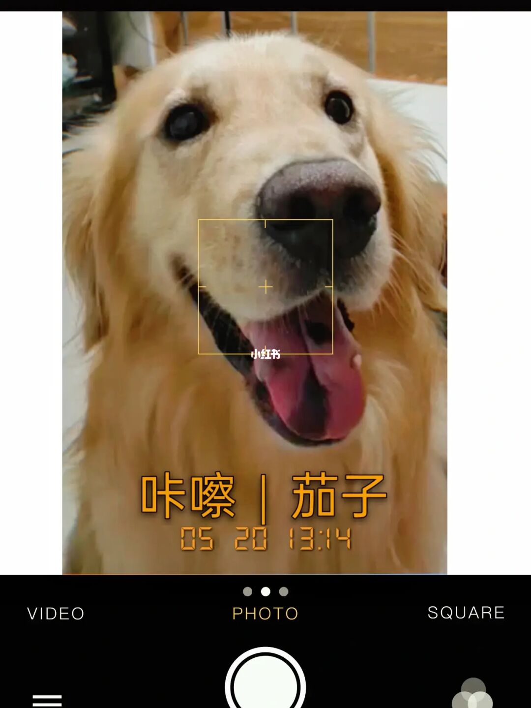 短视频怎么拍才能火_微信短视频怎么拍_淘拍淘宝短视频
