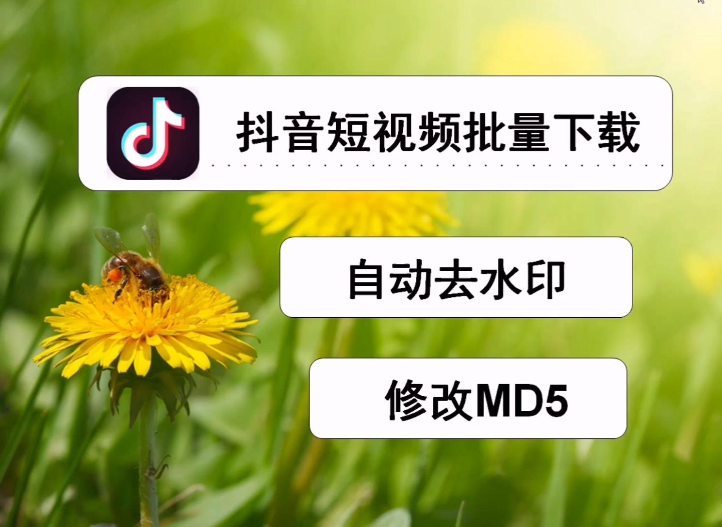 去掉视频水印mac软件_短视频怎么去掉水印_手机怎么去掉视频水印