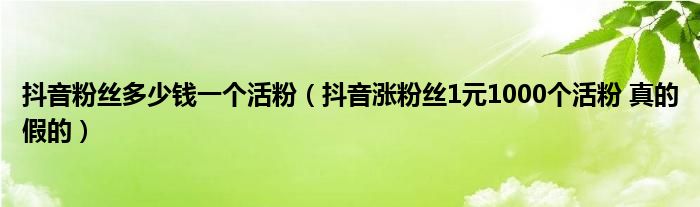 抖音1元100赞 3元一万粉抖音网站_涨粉丝1元100个_1元涨100粉