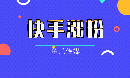 快手涨粉丝3元1000个活粉_快手如何涨粉丝到1000_快手1元涨粉1000