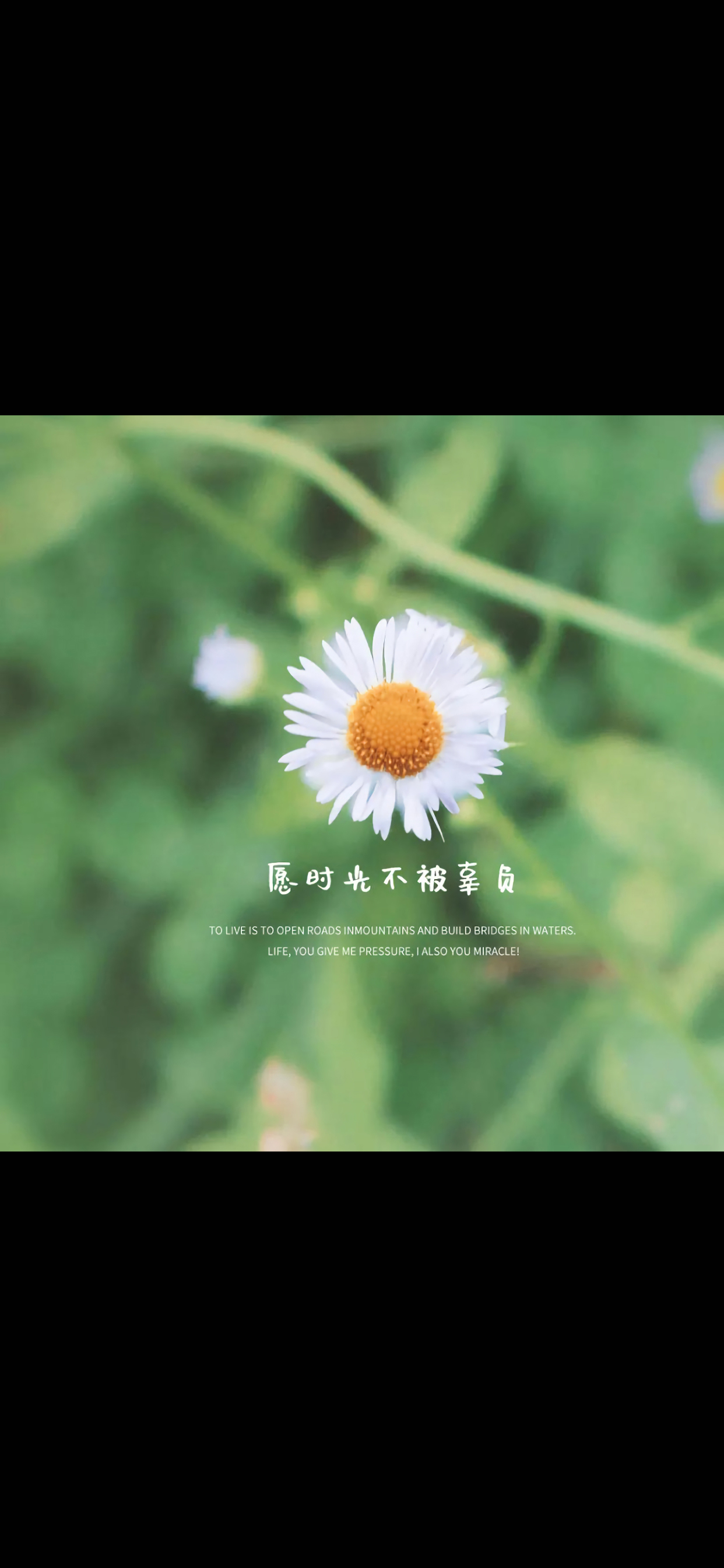 微信图片点赞怎么能得更多赞_qq名片赞快速点赞软件_快手每天点赞上限