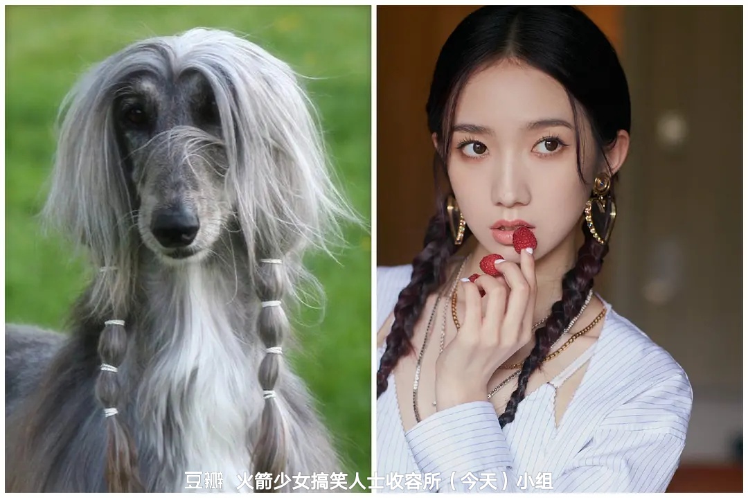 快手抖音点赞怎么做_抖音短视频抖屏怎么设置_抖音怎么抖屏