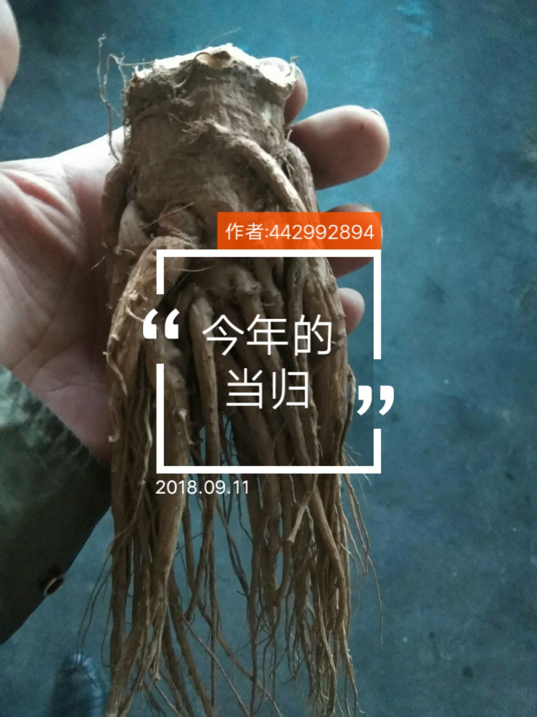名片赞快手刷播放量_手机qq名片刷赞软件_刷qq刷名片赞手机软件