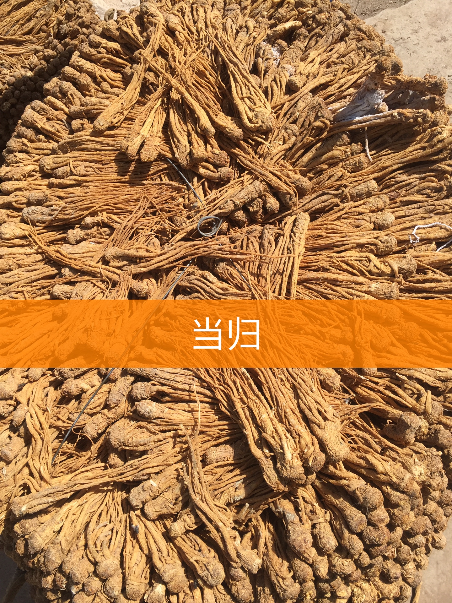 刷qq刷名片赞手机软件_名片赞快手刷播放量_手机qq名片刷赞软件