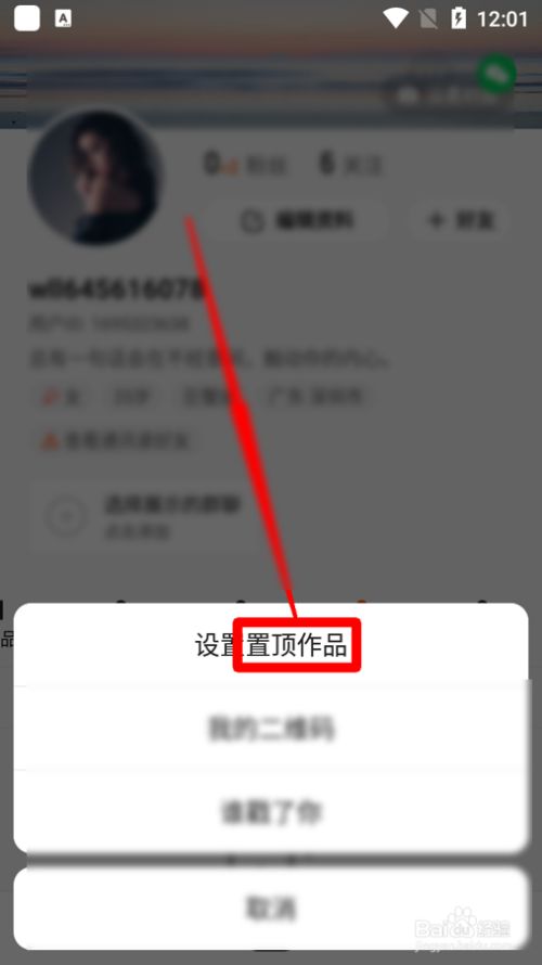 快手热评点赞置顶软件_快手里面赞视频怎么删_网页置顶软件