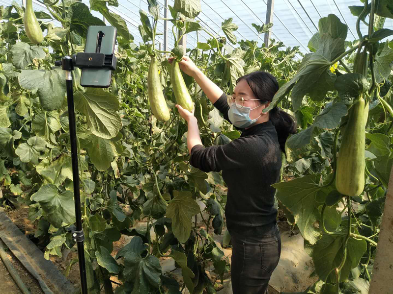 苹果qq刷赞软件免费版_快手刷点赞软件苹果_刷赞软件免费版2013 qq名片刷赞软件