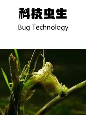 快手求点赞的句子_花千骨手游点赞怎么点_微信点赞回赞免费软件