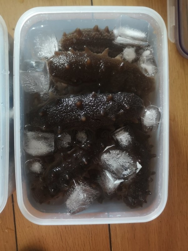 苹果手机知乎上如何点赞_qq点赞金赞是什么意思_快手上点赞挣钱吗