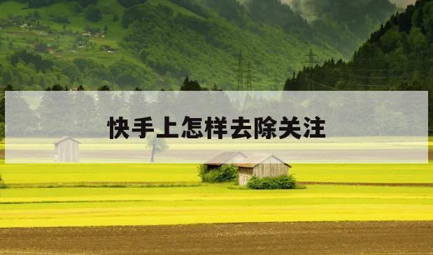 快手怎么查找不到用户_快手怎么查找赞过的人_快手多少赞能上热门
