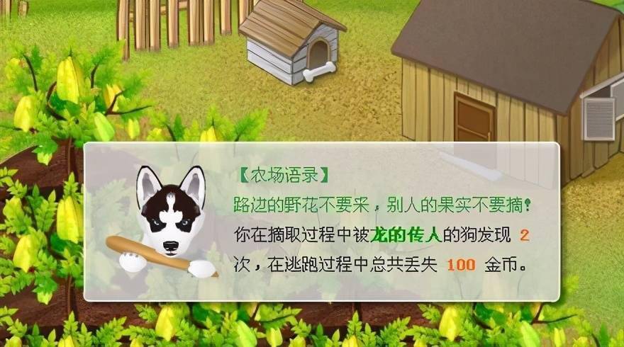 张钧甯微博关注大张伟没_快手光有赞没有关注_快手关注最多的是谁