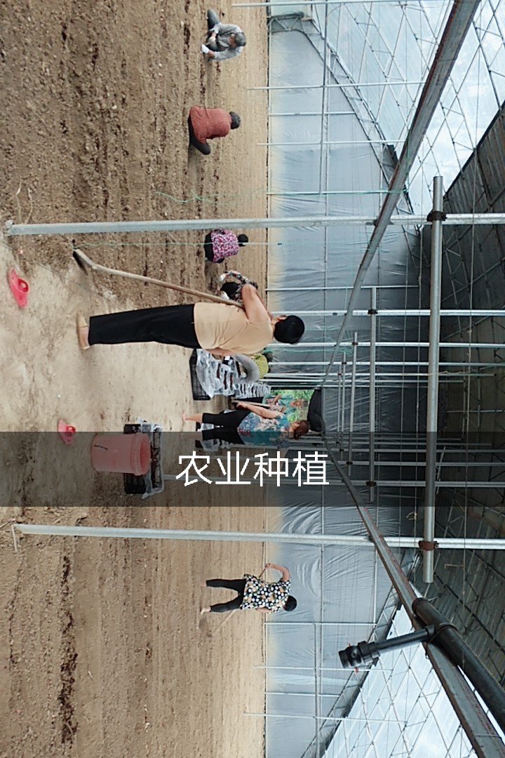 点赞热门说说_快手上热门规律时间_快手刷点赞可以上热门