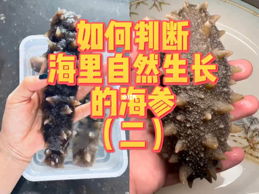 快手点赞假_快手里面赞视频怎么删_微信精选留言点赞刷赞