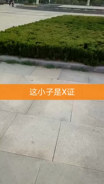 木点乐风点赞网_淘宝直播点赞消耗什么_快手直播间点赞