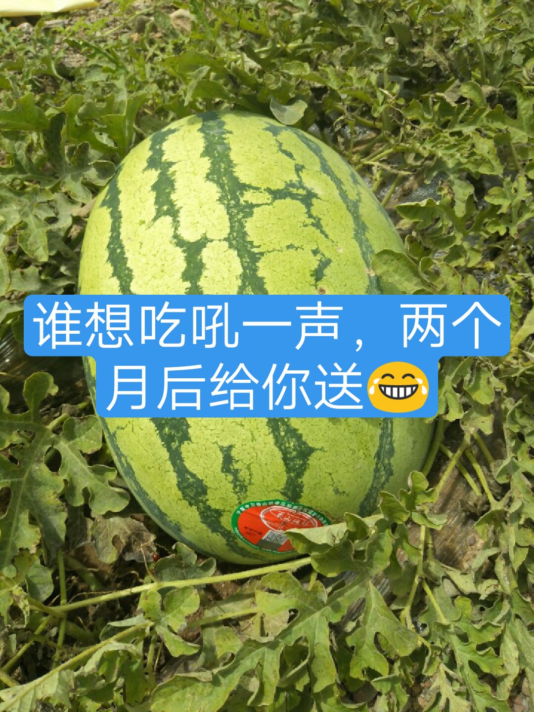 快手多少赞上热门_花椒直播上反复上热门_快手上热门有什么好处