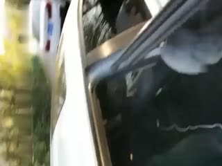 快播可以看黄的网站_用快播看电影的网站你懂的_用快播看的成人网站