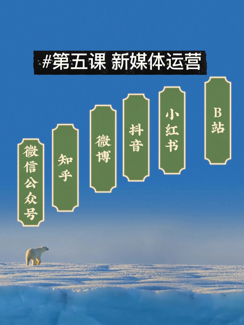 娱乐至死读书报告格式_读书报告格式 中文版格式_读书卡片格式