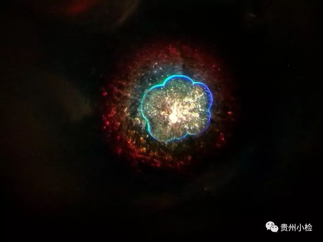 水知道答案完整视频下载_水知道答案视频观后感_水知道答案完整版视频