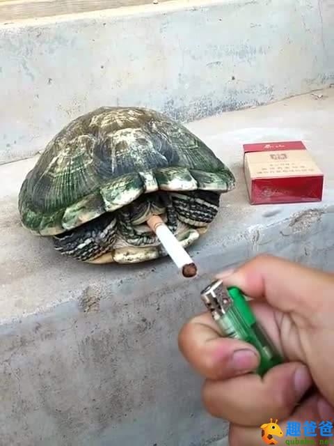 娃娃机抓娃娃技巧剪刀_娃娃机抓娃娃技巧视频下载_娃娃机上贴搞笑语录