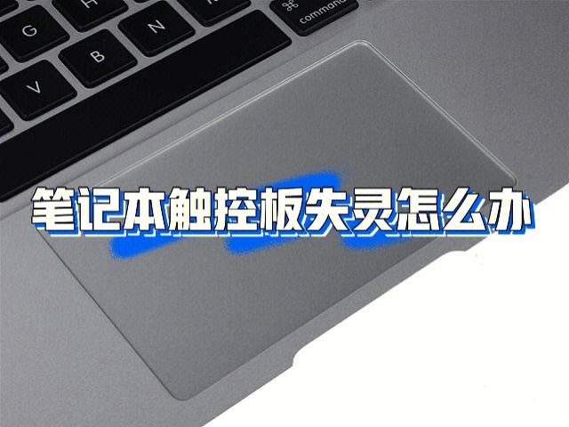 有鼠标时禁用触控板_柏德盛工业触控鼠标批发_外接鼠标时禁用触控板