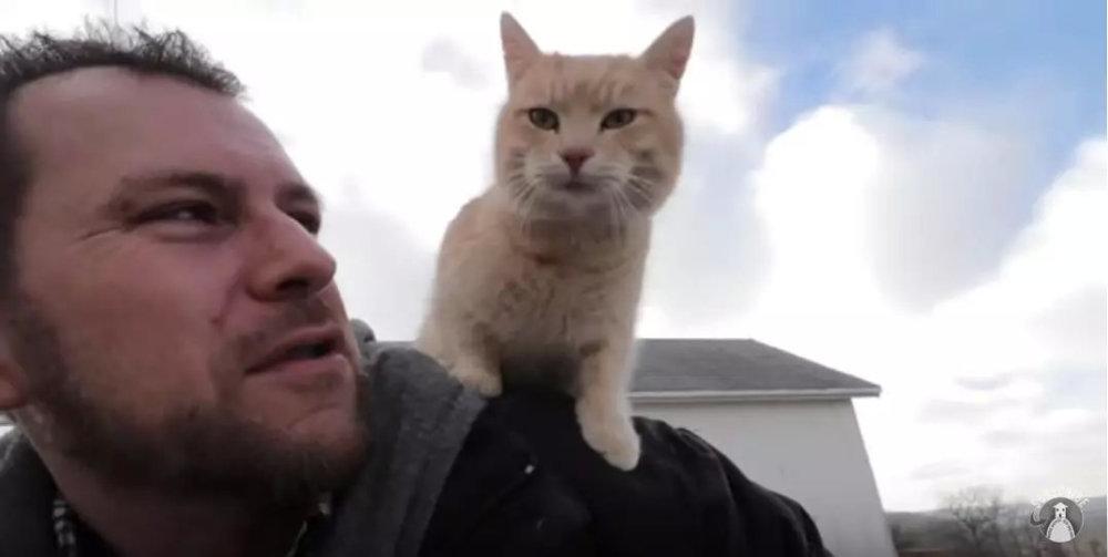 小猴子做衣服阅读答案_做父亲丰子恺阅读答案_猴子建筑师阅读答案
