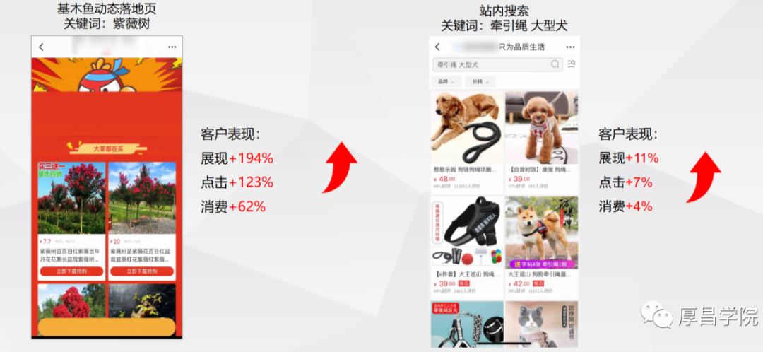 粒子平台广告落地页_h5落地页_智能落地页