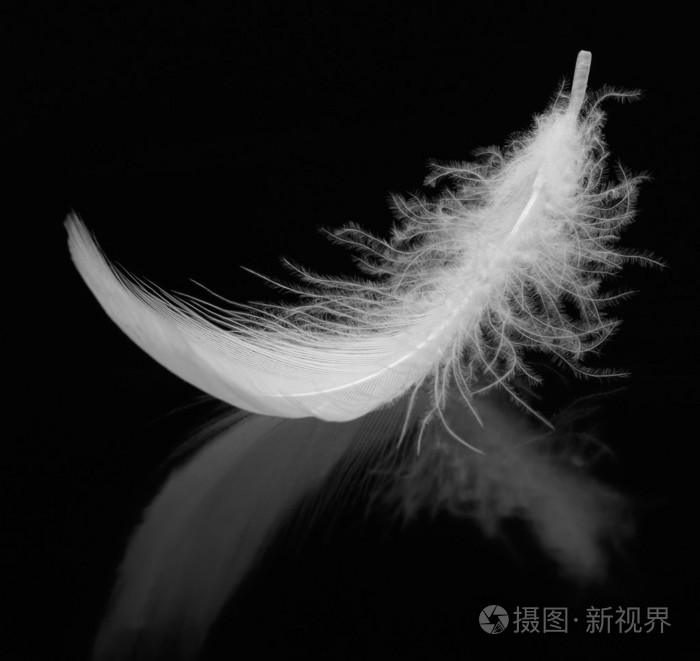 性别的谎言h_性别的谎言性なる嘘つき_性是谎言 2下载