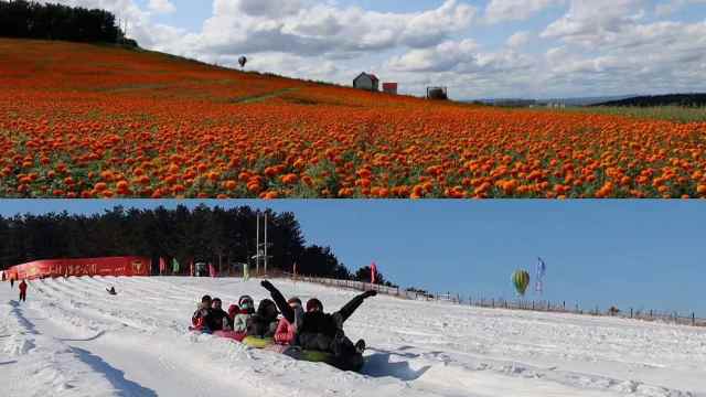 妃悠爱旅行_抓住兔斯基的尾巴_玩悠波球草地设计图