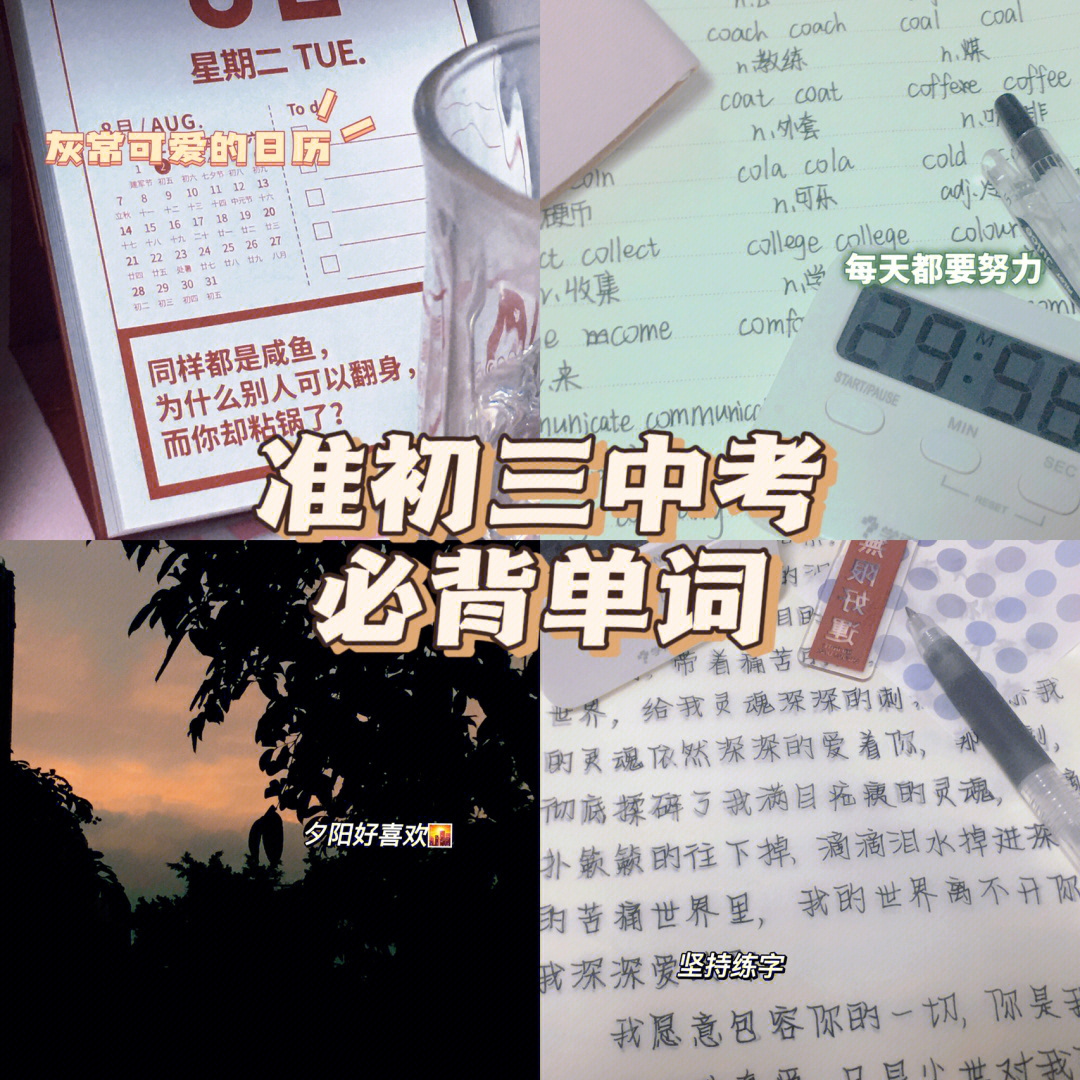 屈老师好儿郎舞蹈视频_写给初中作文800字_写给初中作文的一封信