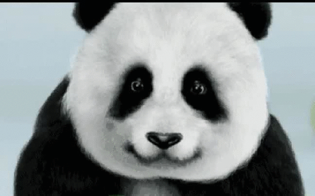 熊猫主题动态壁纸下载_qq上怎么能视频主题_熊猫动态壁纸怎么设置动态壁纸
