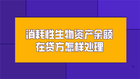 固定资产会计规定_固定资产相关会计准则_安装固定资产领用产品