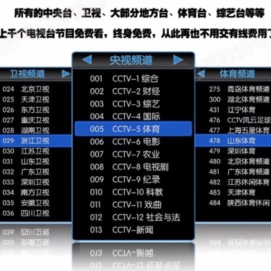 免费的央视直播软件_哪些播放器可以看中央台直播_电视央视直播软件
