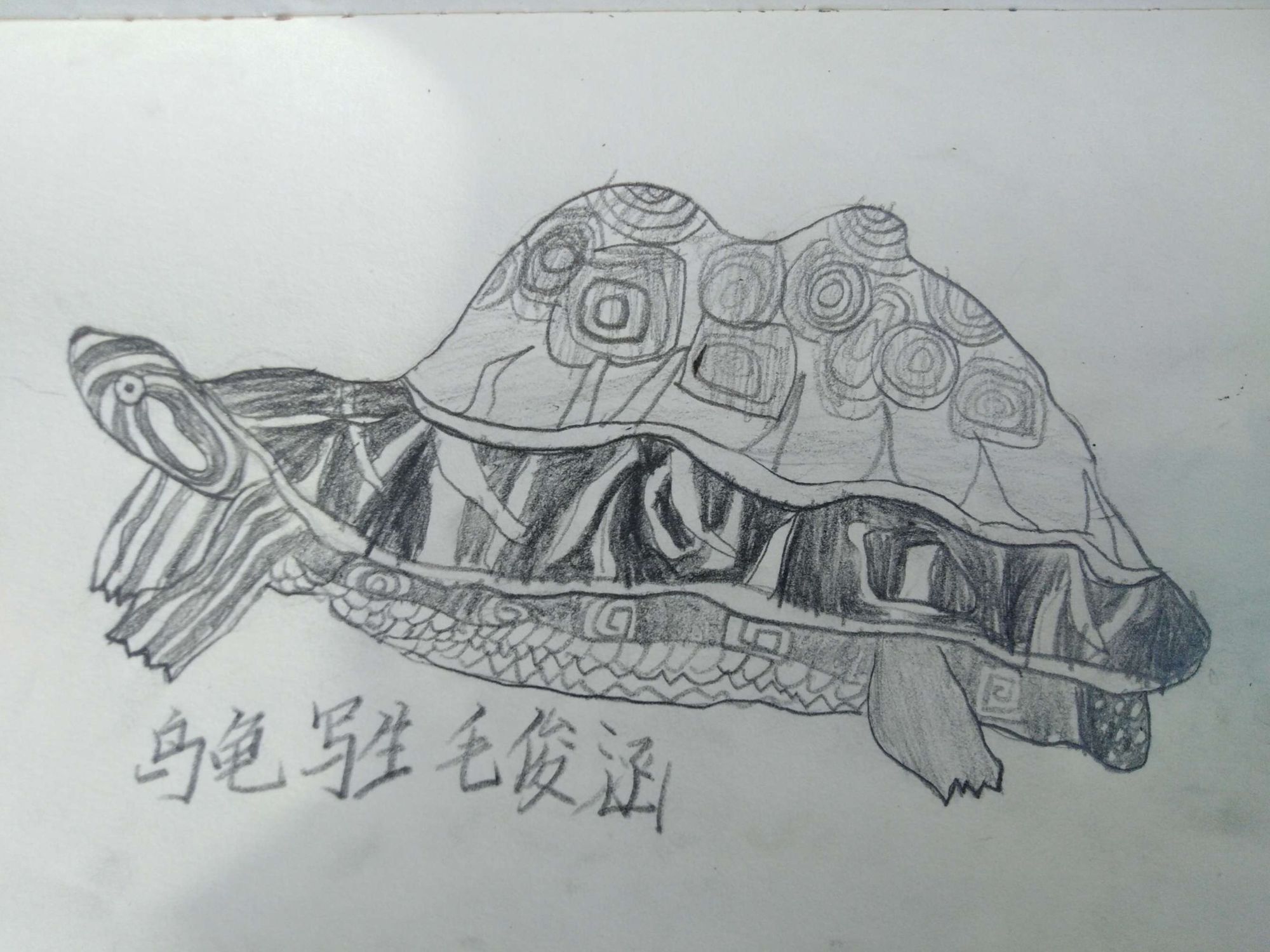 雪地小画家课堂实录_雪地里的小画家教学设计_雪地里的小画家设计理念