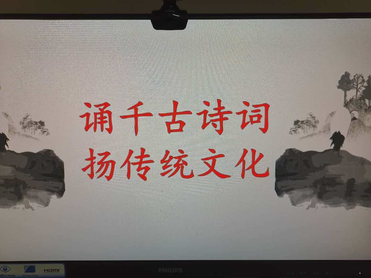 国学经典诗配画活动方案_中华经典诵写讲活动总结_开展中华经典诵读活动总结