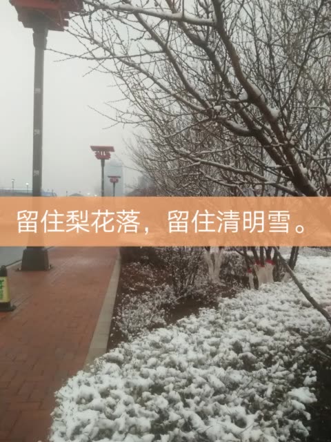 快手视频怎么保存本地_能保存快手视频的软件_保存快手视频怎么去水印