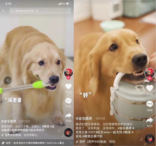 怎么购买快手号_快手养宠物是什么意思_养宠帮官网