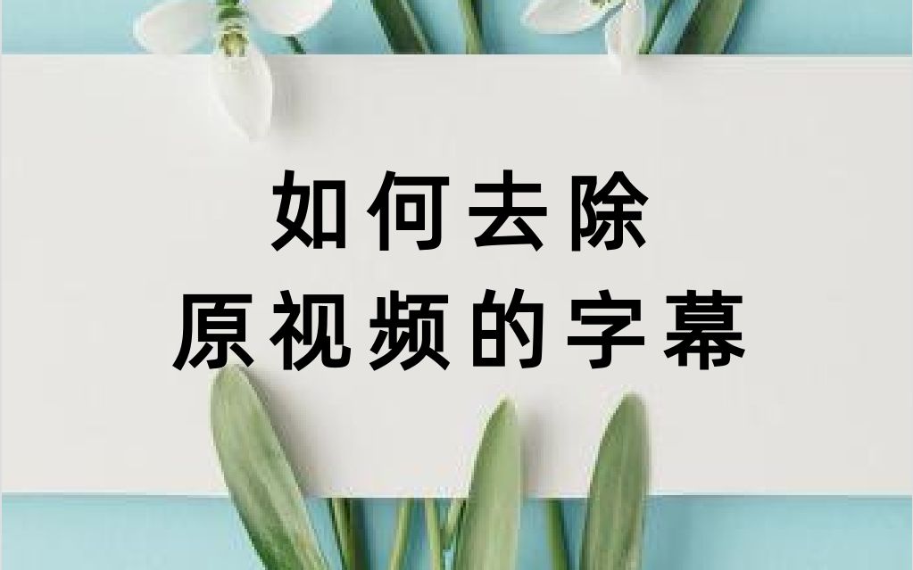 视频保存快手本地到手机相册_快手怎么把视频保存到本地_视频保存快手本地到哪里找