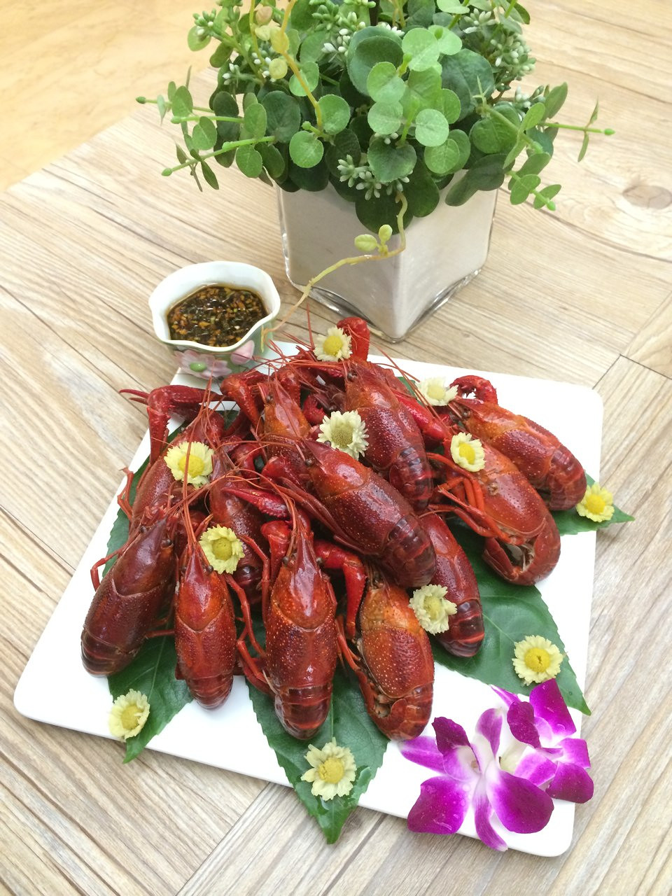 菊花岛位置_菊花岛游玩攻略_菊花岛攻略