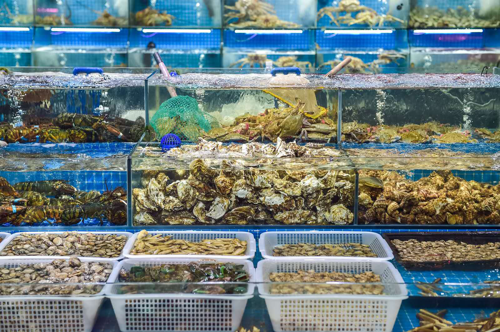 最新最全海南三亚旅游攻略_自由行海南三亚攻略_海南三亚旅游攻略必去景点