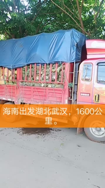 快手赞订单怎么找_快手怎么查点赞_怎么买查看快手点在赞