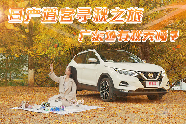 快手视频赞多了有什么用_快手点赞过千万的视频_快手视频点赞多了有钱吗