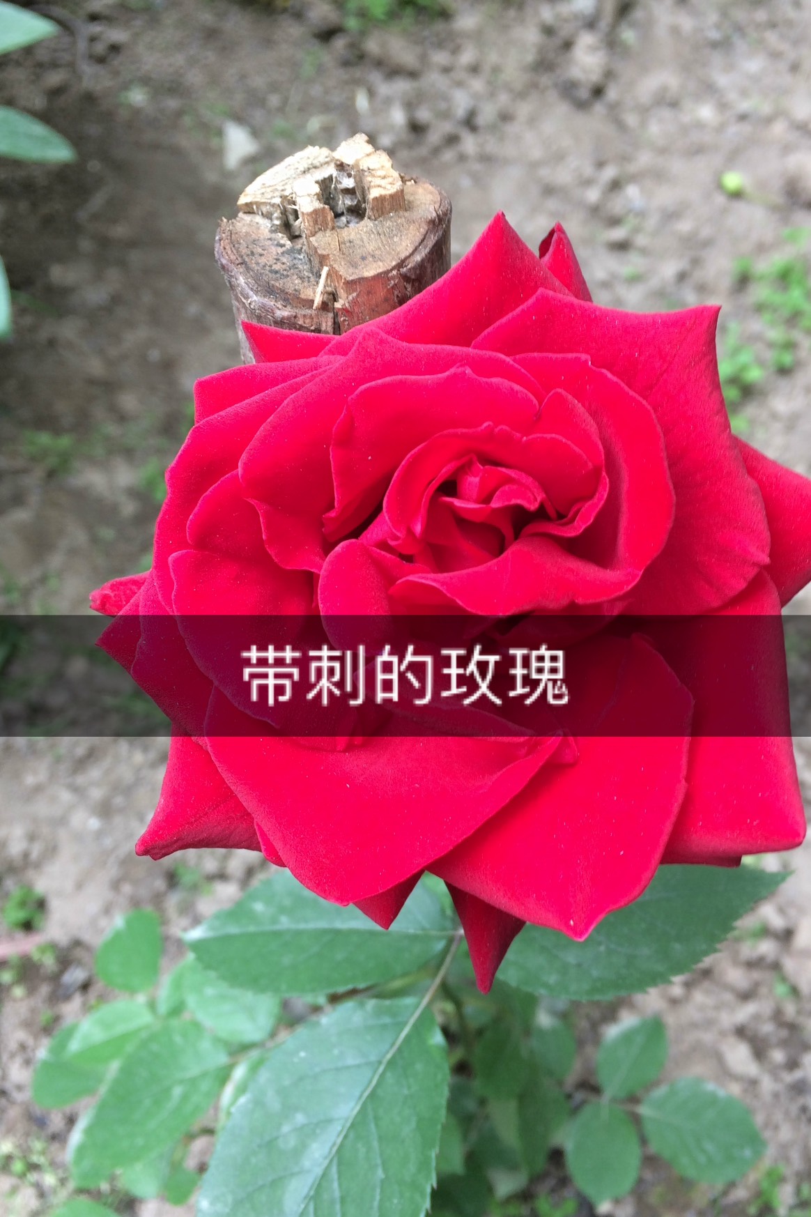 快手删除作品赞还在吗_快手赞过的作品怎么删除_删除快手赞过的视频