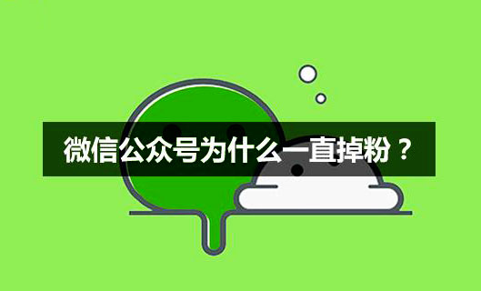 免费涨1000粉丝_涨粉丝平台_涨粉丝1元1000个