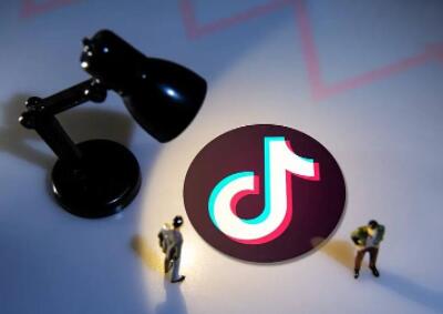 丝粉收入一天赚多少_丝粉收入一天多少钱_1万粉丝一天收入